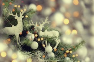 Beauty Salon Northern Beaches Sydney | December Special